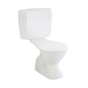 Connector Suites - Choosing the Right Toilet